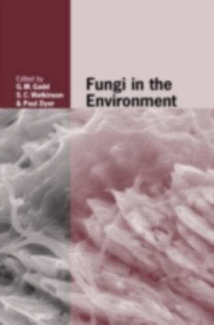 Fungi in the Environment, PDF eBook