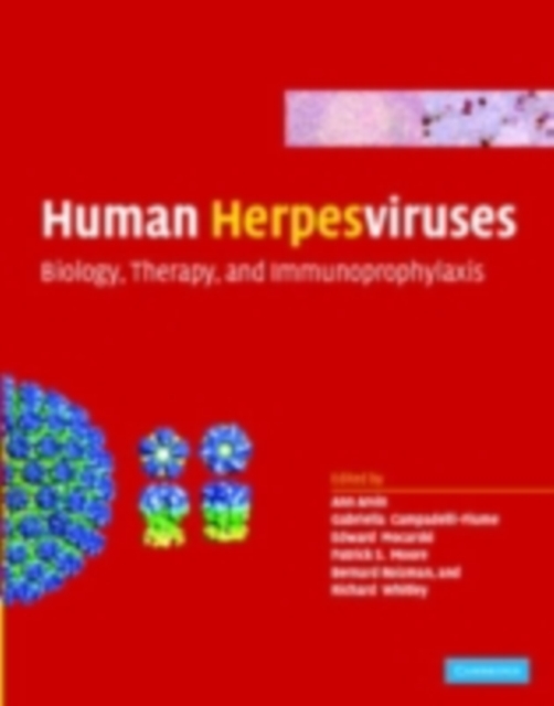 Human Herpesviruses : Biology, Therapy, and Immunoprophylaxis, PDF eBook