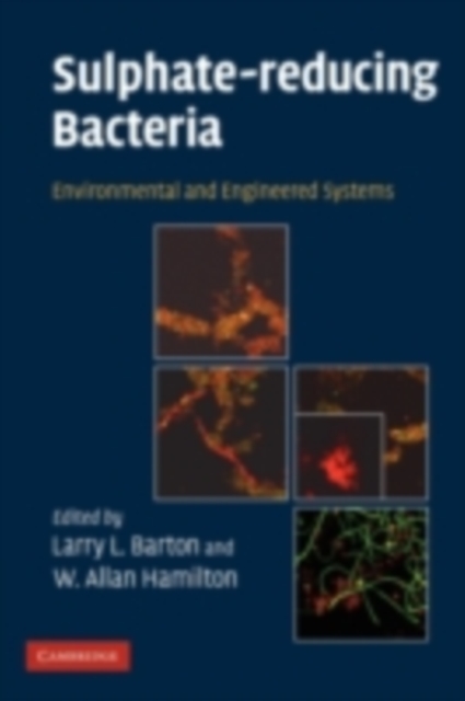 Sulphate-Reducing Bacteria : Environmental and Engineered Systems, PDF eBook