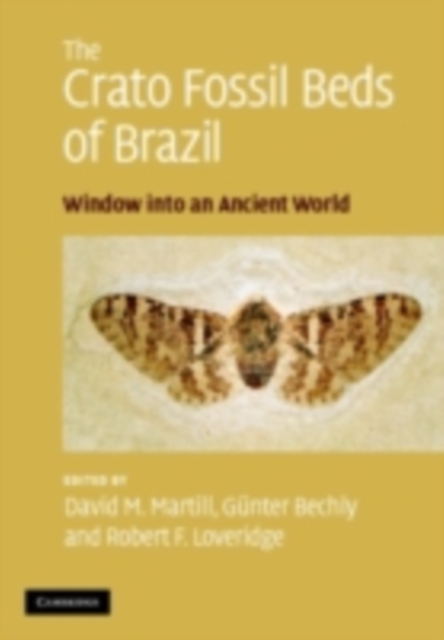 Crato Fossil Beds of Brazil : Window into an Ancient World, PDF eBook