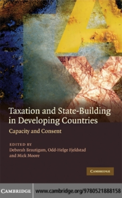 Taxation and State-Building in Developing Countries : Capacity and Consent, PDF eBook