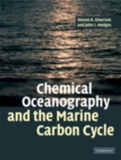 Chemical Oceanography and the Marine Carbon Cycle, PDF eBook