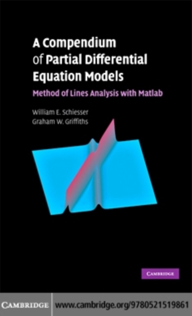 A Compendium of Partial Differential Equation Models : Method of Lines Analysis with Matlab, PDF eBook