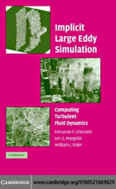 Implicit Large Eddy Simulation : Computing Turbulent Fluid Dynamics, PDF eBook
