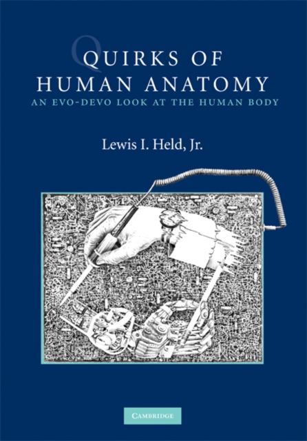 Quirks of Human Anatomy : An Evo-Devo Look at the Human Body, EPUB eBook
