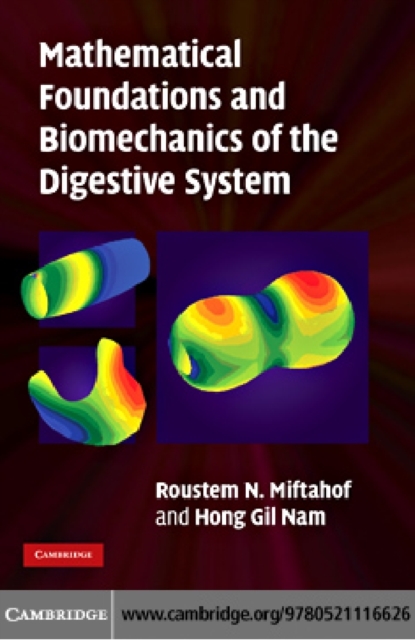 Mathematical Foundations and Biomechanics of the Digestive System, PDF eBook