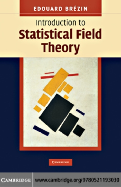 Introduction to Statistical Field Theory, PDF eBook