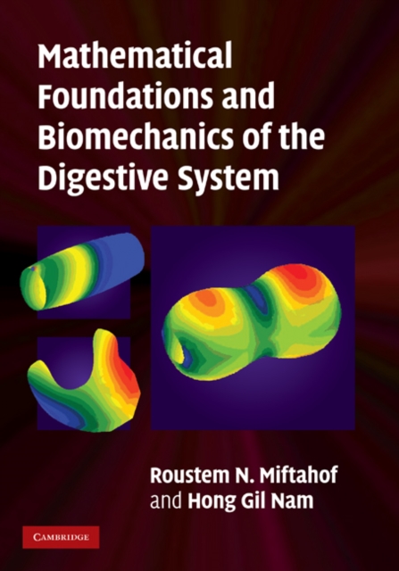 Mathematical Foundations and Biomechanics of the Digestive System, EPUB eBook
