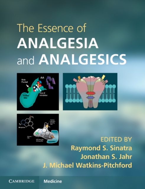 Essence of Analgesia and Analgesics, EPUB eBook