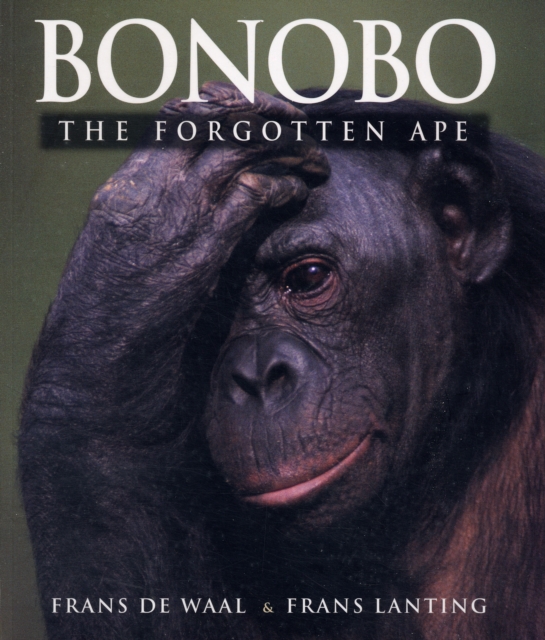 Bonobo : The Forgotten Ape, Paperback / softback Book