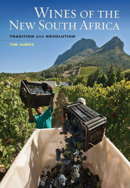 Wines of the New South Africa : Tradition and Revolution, Hardback Book