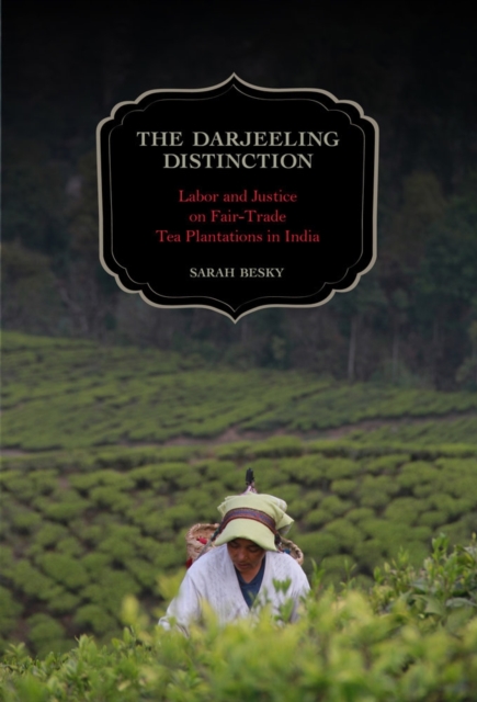 The Darjeeling Distinction : Labor and Justice on Fair-Trade Tea Plantations in India, Paperback / softback Book