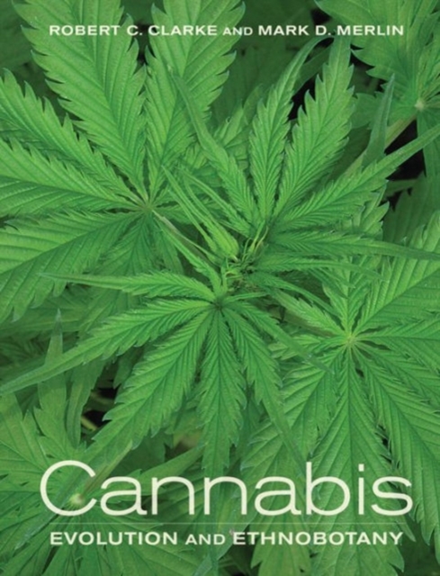 Cannabis : Evolution and Ethnobotany, Paperback / softback Book