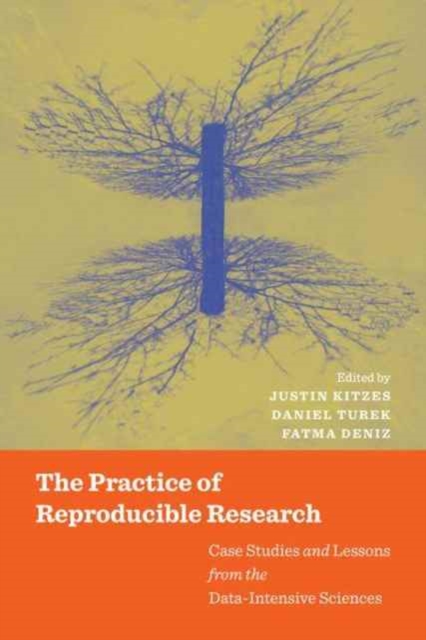 The Practice of Reproducible Research : Case Studies and Lessons from the Data-Intensive Sciences, Paperback / softback Book