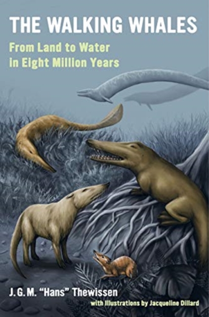 The Walking Whales : From Land to Water in Eight Million Years, Paperback / softback Book