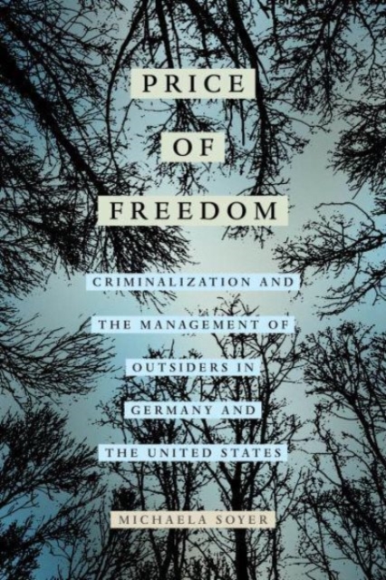 The Price of Freedom : Criminalization and the Management of Outsiders in Germany and the United States, Paperback / softback Book