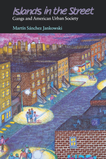 Islands in the Street : Gangs and American Urban Society, PDF eBook