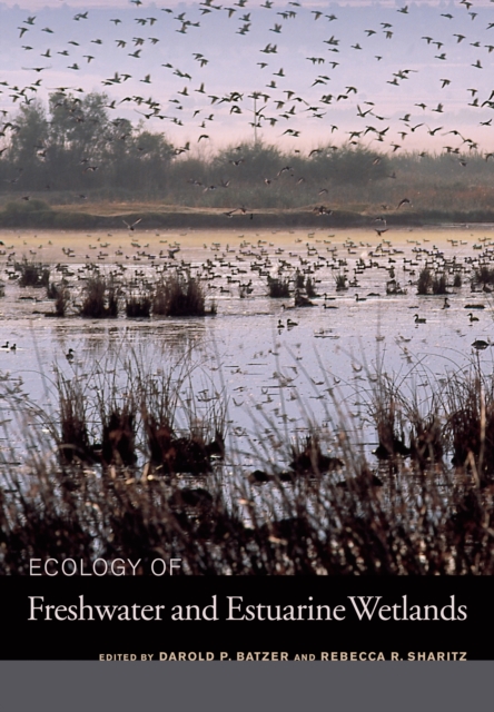 Ecology of Freshwater and Estuarine Wetlands, PDF eBook