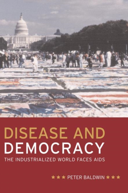 Disease and Democracy : The  Industrialized World Faces AIDS, PDF eBook