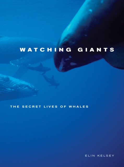 Watching Giants : The Secret Lives of Whales, PDF eBook