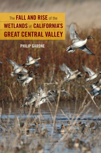 The Fall and Rise of the Wetlands of California's Great Central Valley, EPUB eBook