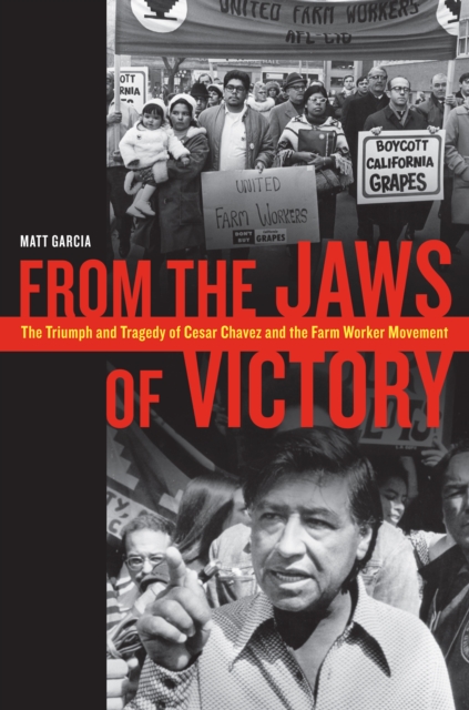 From the Jaws of Victory : The Triumph and Tragedy of Cesar Chavez and the Farm Worker Movement, EPUB eBook