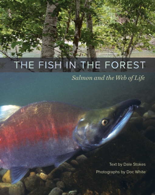 The Fish in the Forest : Salmon and the Web of Life, EPUB eBook