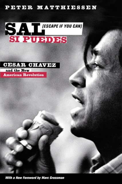 Sal Si Puedes (Escape If You Can) : Cesar Chavez and the New American Revolution, EPUB eBook