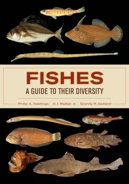 Fishes: A Guide to Their Diversity, EPUB eBook
