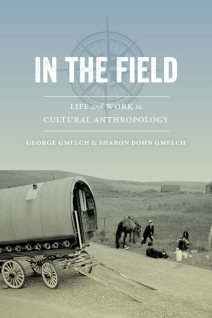 In the Field : Life and Work in Cultural Anthropology, EPUB eBook