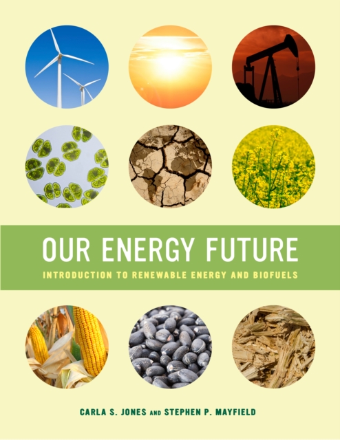 Our Energy Future : Introduction to Renewable Energy and Biofuels, EPUB eBook
