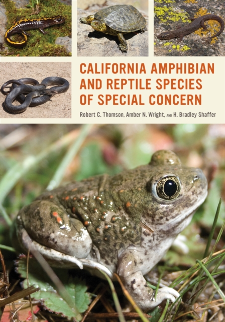 California Amphibian and Reptile Species of Special Concern, EPUB eBook
