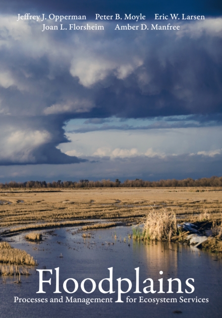 Floodplains : Processes and Management for Ecosystem Services, EPUB eBook