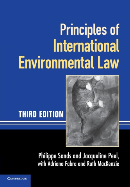 Principles of International Environmental Law, Paperback Book