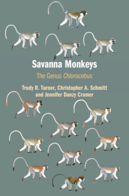Savanna Monkeys : The Genus Chlorocebus, Hardback Book