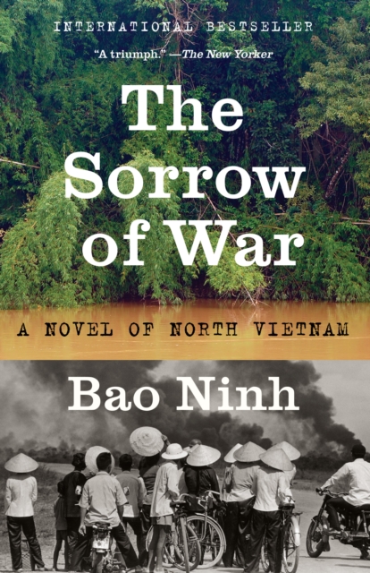 Sorrow of War, EPUB eBook