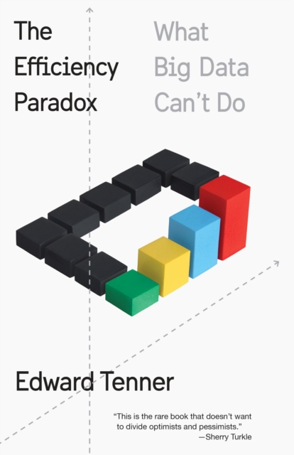 Efficiency Paradox, EPUB eBook