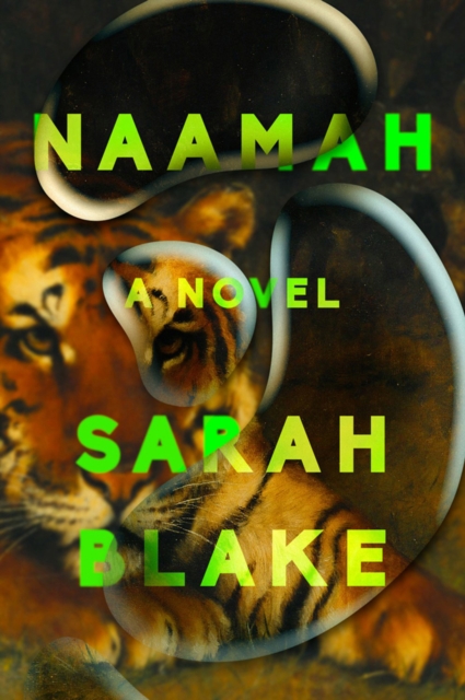 Naamah : A Novel, Hardback Book