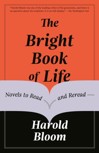 Bright Book of Life, EPUB eBook