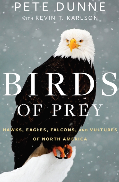 Birds of Prey : Hawks, Eagles, Falcons, and Vultures of North America, EPUB eBook