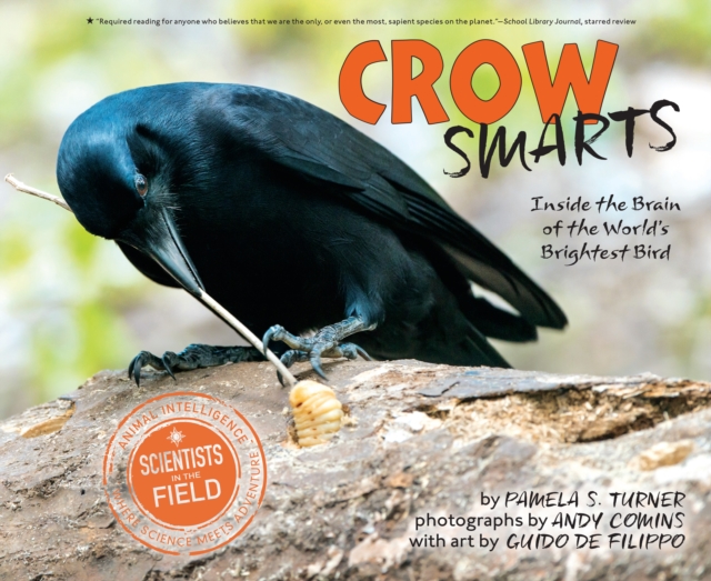 Crow Smarts : Inside the Brain of the World's Brightest Bird, EPUB eBook