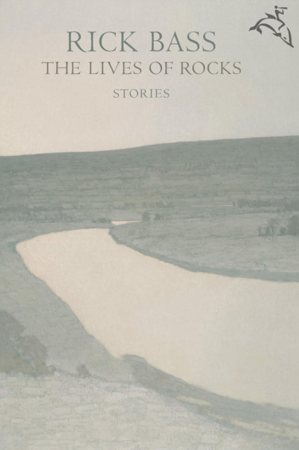 The Lives of Rocks : Stories, EPUB eBook