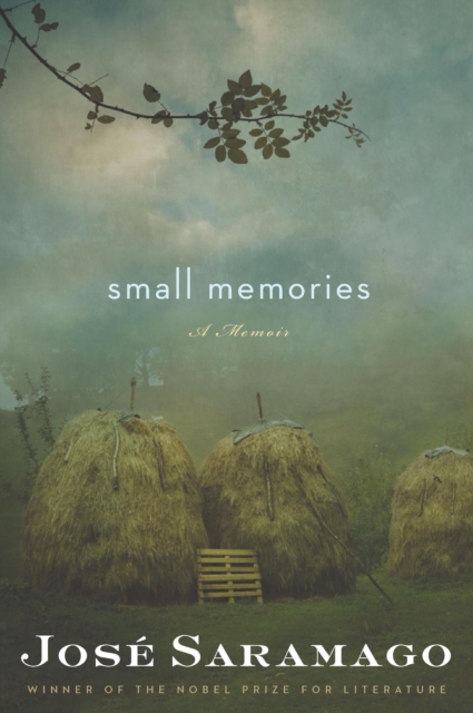 Small Memories : A Memoir, EPUB eBook