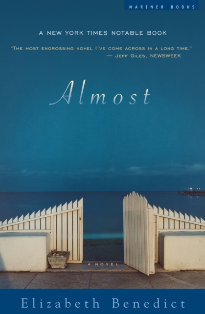 Almost : A Novel, EPUB eBook