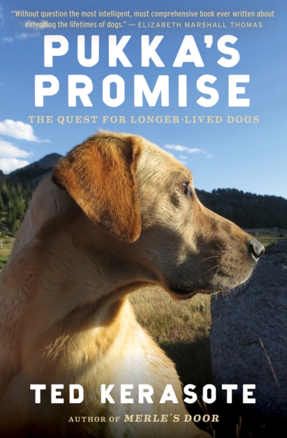 Pukka's Promise : The Quest for Longer-Lived Dogs, EPUB eBook