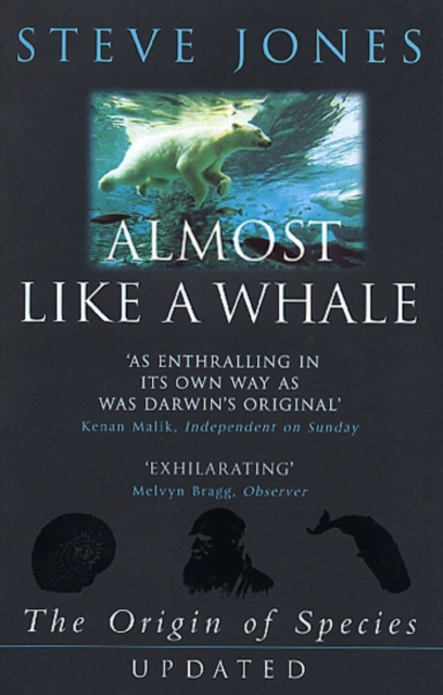 Almost Like A Whale : The Origin Of Species Updated, Paperback / softback Book