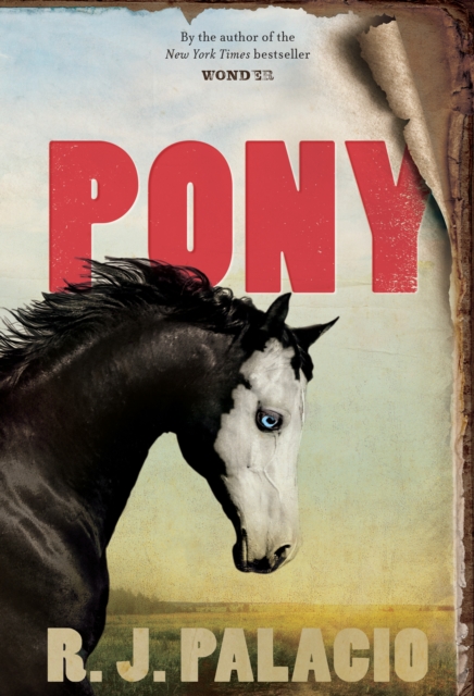Pony, EPUB eBook