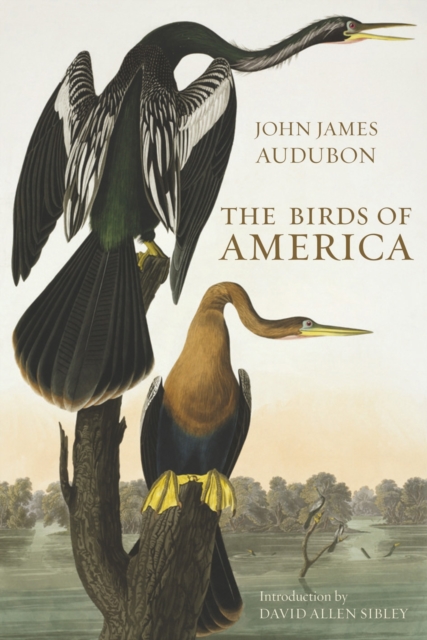 The Birds of America, Hardback Book