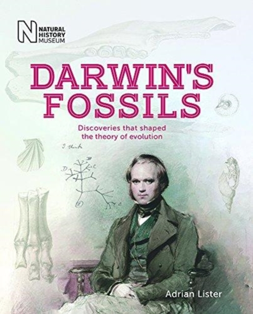 Darwin's Fossils : Discoveries that shaped the theory of evolution, Paperback / softback Book