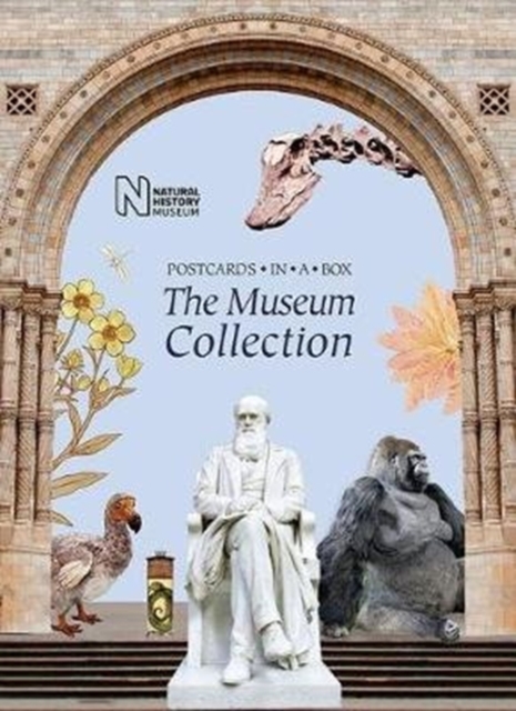 The Museum Collection : Postcards in a Box, Cards Book